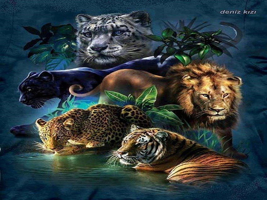 野生の猫、動物、猫、ライオン、トラ 高画質の壁紙