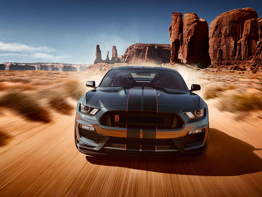 Ford Mustang Shelby GT350, , Automotive / Cars HD wallpaper