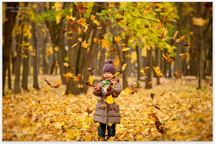 pleasure, leaves, trees, autumn, girl, child HD wallpaper