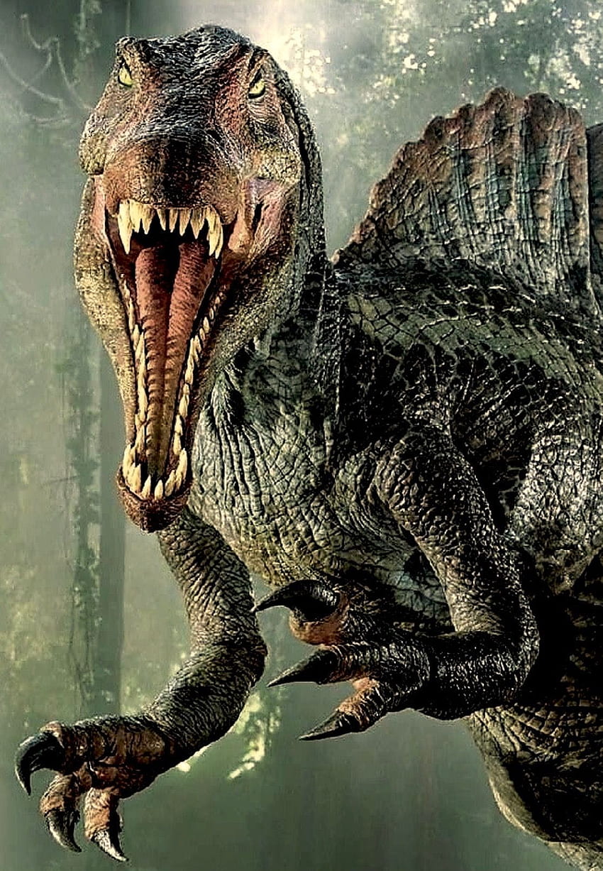 สไปโนซอร์. ไดโนเสาร์ ไดโนเสาร์โลกจูราสสิค สไปโนซอรัส จูราสสิคพาร์ค สไปโนซอรัส วอลล์เปเปอร์โทรศัพท์ HD