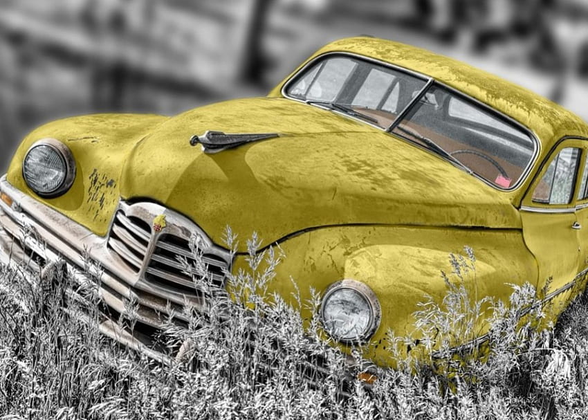 Mobil Tua, rusak, rongsokan, kuning, padang rumput, vintage Wallpaper HD