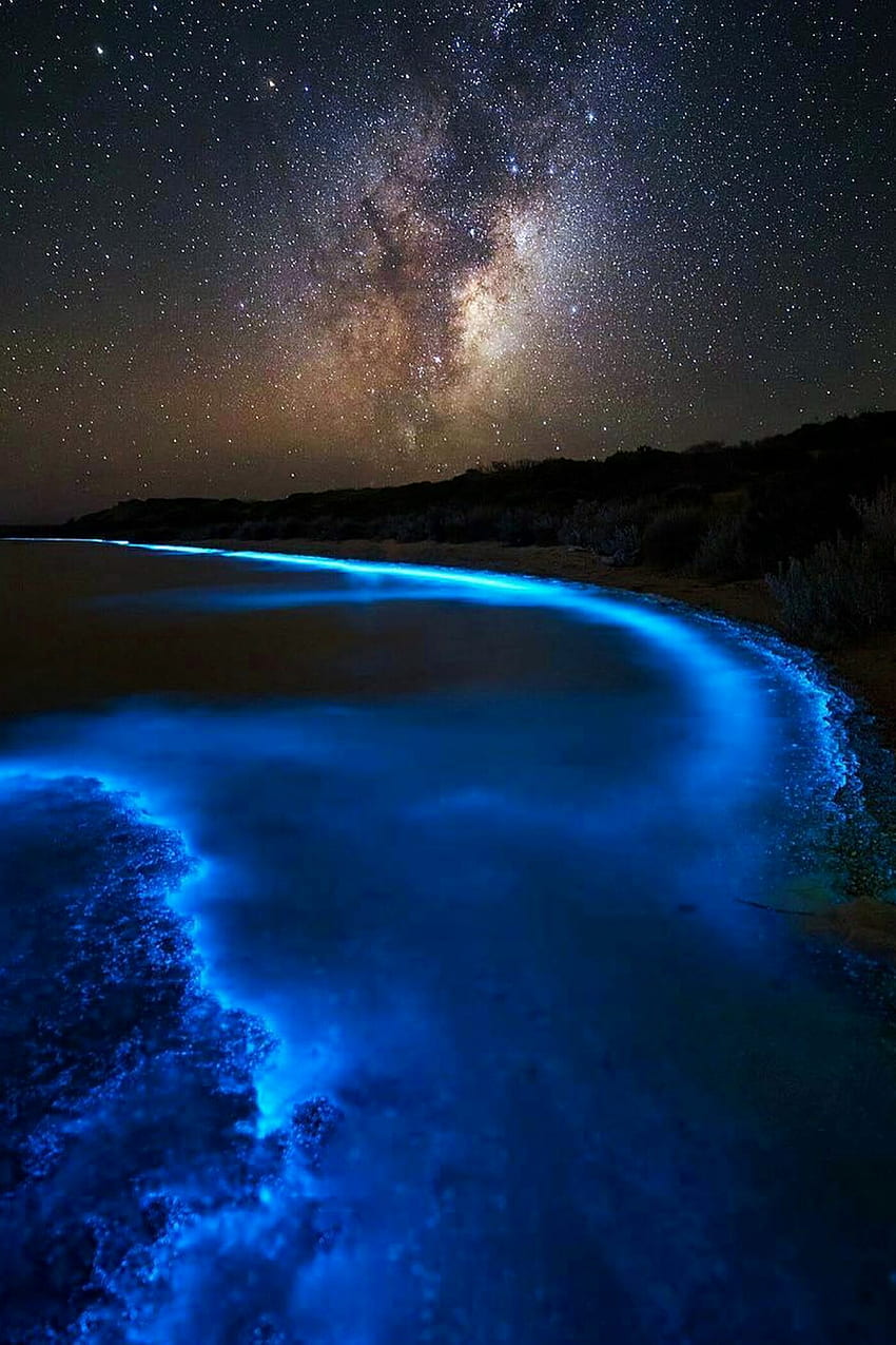 hellchildjavo : « La baie bioluminescente de James Garlick ». Paysages, Bioluminescence Fond d'écran de téléphone HD