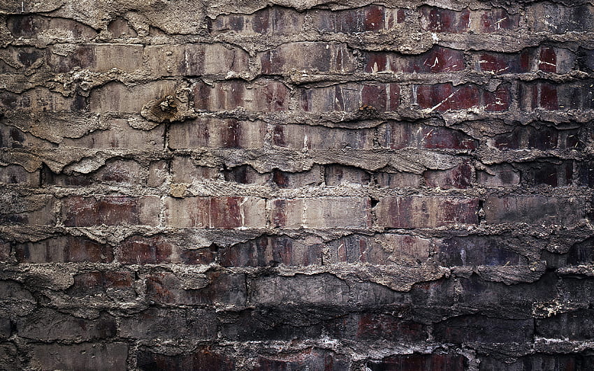 gray brickwall, , grunge backgrounds, gray bricks background, bricks textures, 3D textures, brick wall, bricks background, gray stone background, bricks, gray bricks HD wallpaper
