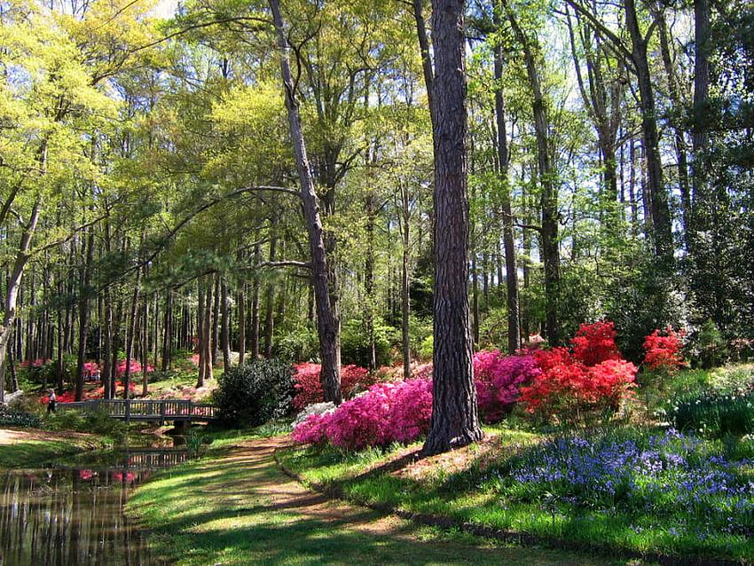 Spring Garden, art , fullcolours, beautiful, reflection, bridge, trees, flowers, park garden, water HD wallpaper