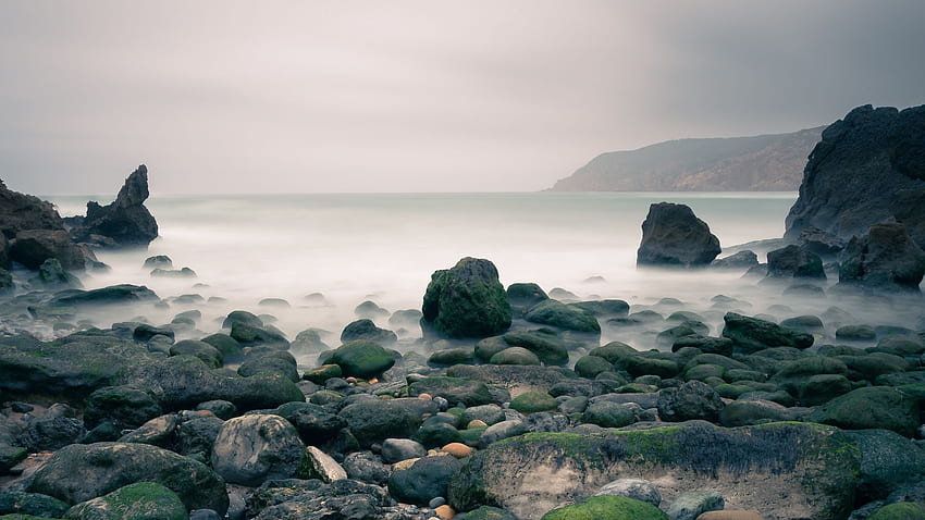 Algas Cubren Piedras Mar Niebla Niebla Océano Naturaleza fondo de pantalla
