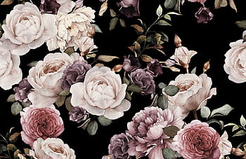 Dark Floral Wallpapers  Top Free Dark Floral Backgrounds  WallpaperAccess