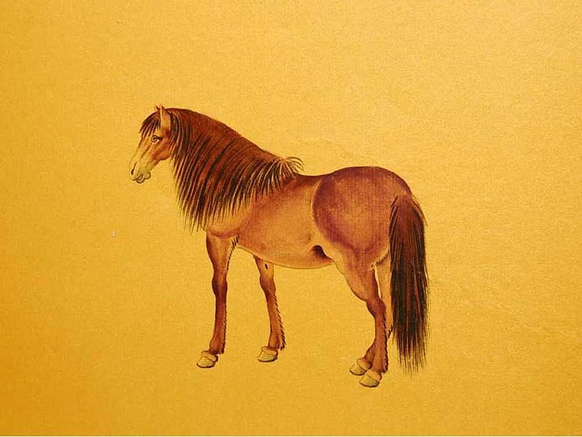 Cavalli che disegnano cavalli animali gialli per iPhone - cinese Sfondo HD