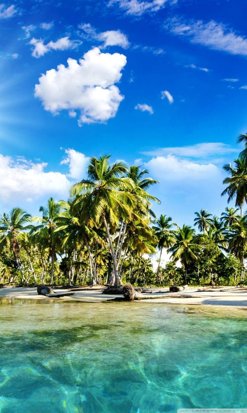 Tropics Palmiye Ağaçları Sun Beach U TV için Ultra Arka Plan: Tablet: Akıllı Telefon HD telefon duvar kağıdı