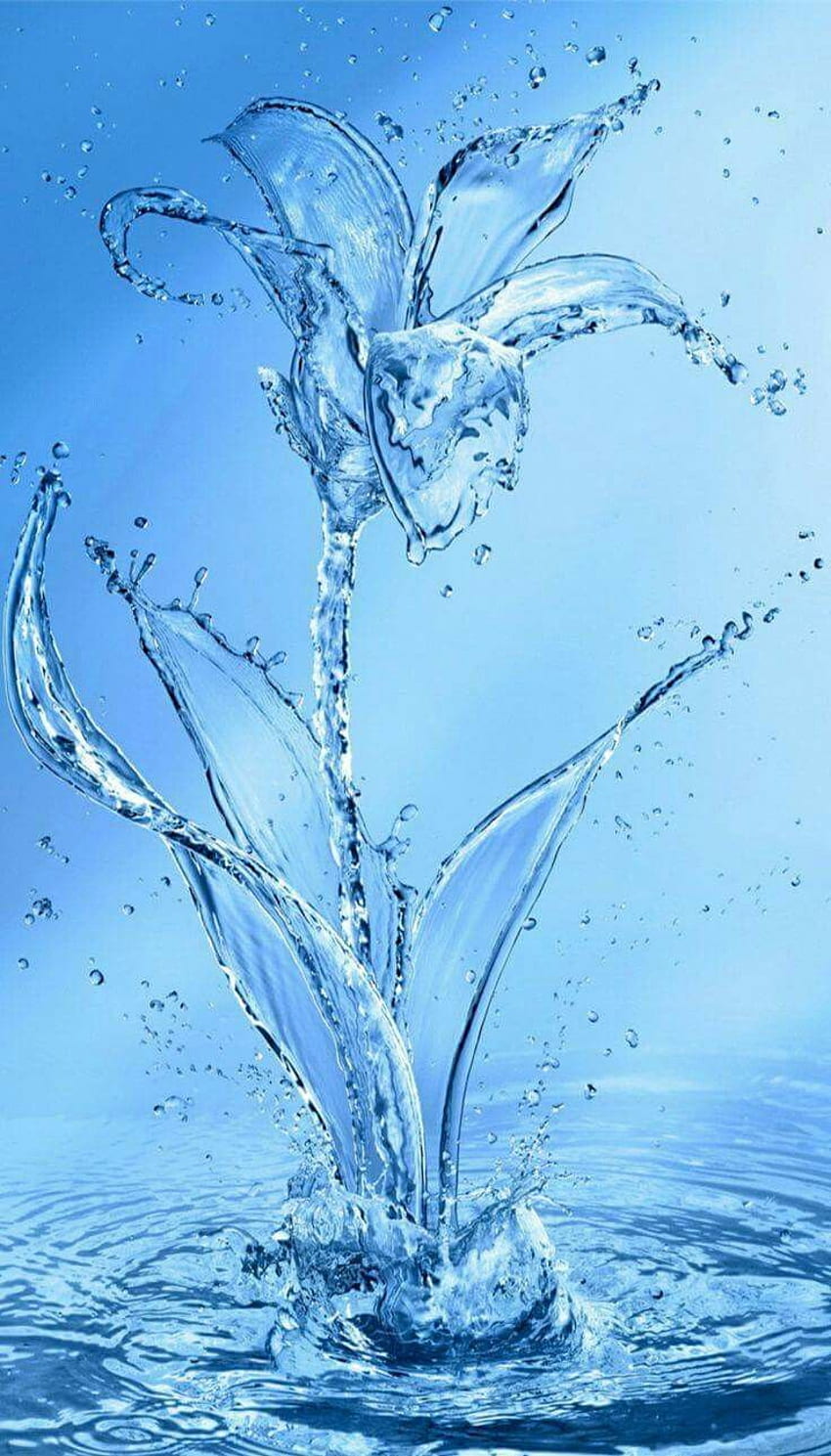 Water Flower. Just Pretty & Cool Pics in 2019. Samsung, Beautiful Water HD phone wallpaper
