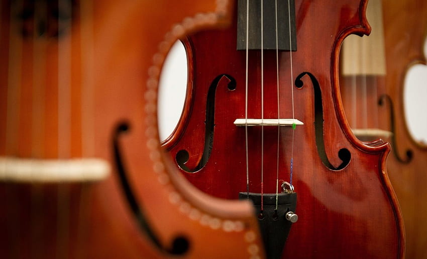 Violin, Viola, String Instrument, Double Bass, Cello, Background - HD wallpaper