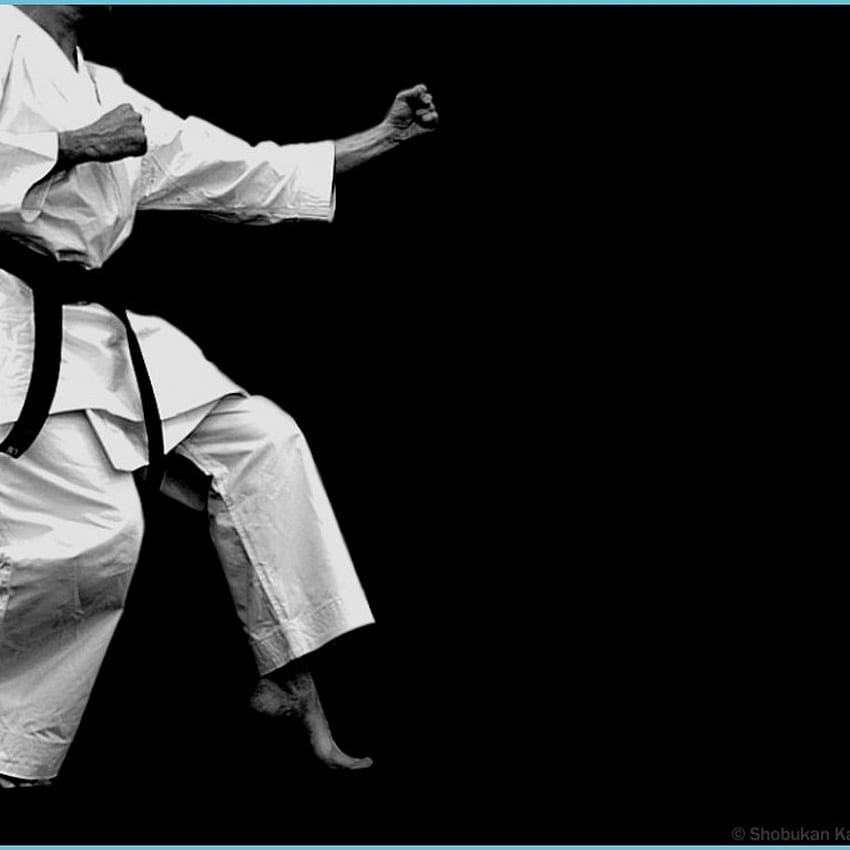 Kỹ thuật Karate  Tổng hợp các kỹ năng làm nên môn võ tuyệt vời