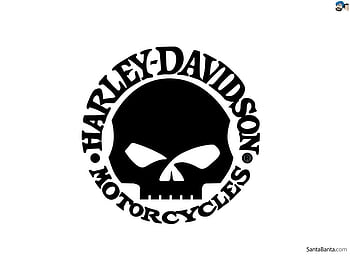 Harley Davidson Skull Logo Harley davidson HD wallpaper  Pxfuel