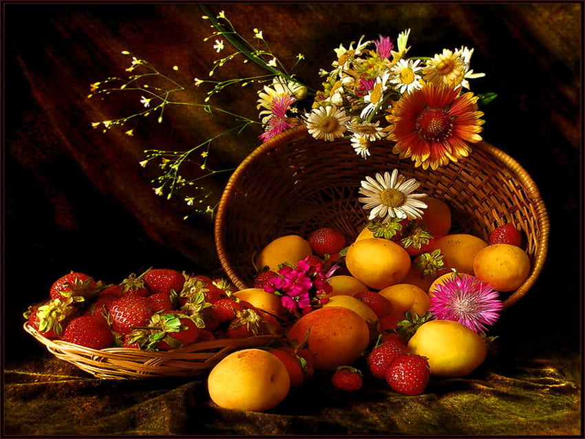 Still life, vase, beautiful, fruits, nice, daisies, basket, delicate, pretty, flowers, lovely, harmony HD wallpaper