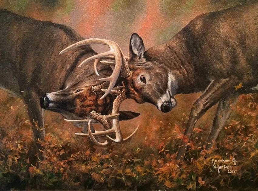 Fight, animal, horns, abraham hunter, painting, art, deer, pictura HD wallpaper