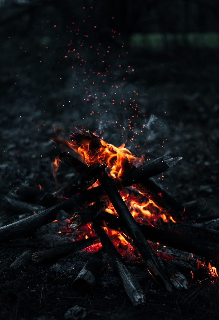 burning wood on fire pit – . , Unsplash HD phone wallpaper