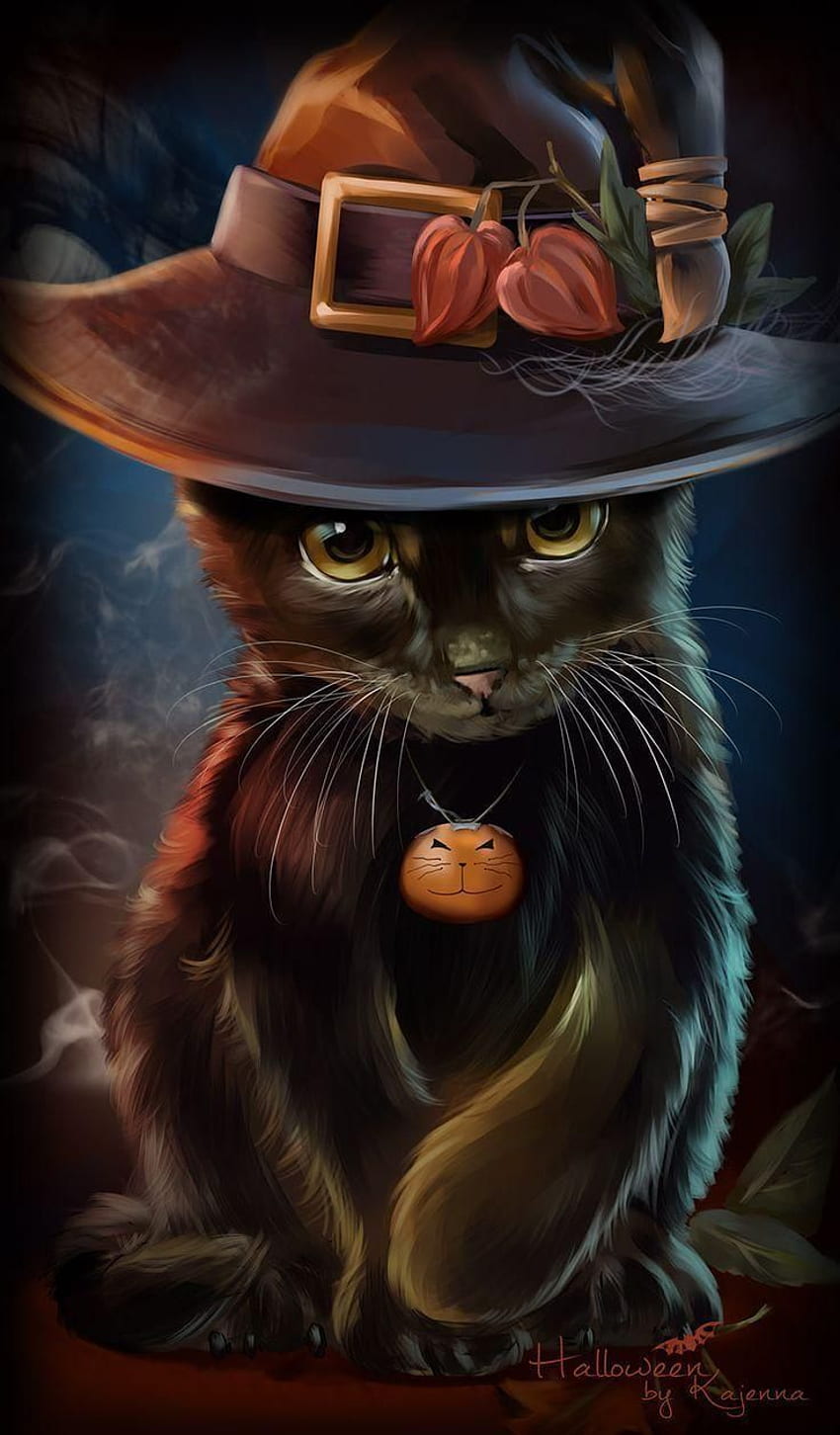 Gifek, Beautiful Witch Cat HD phone wallpaper