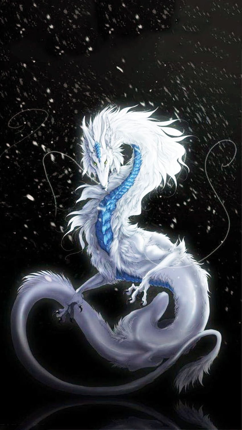 Dragão 204. Fantasia de arte de dragão, Arte de dragão, Dragão, Belas criaturas míticas Papel de parede de celular HD