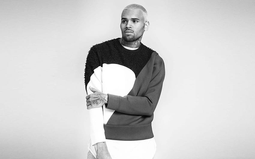 Chris Brown noir et blanc, marron et blanc Fond d'écran HD