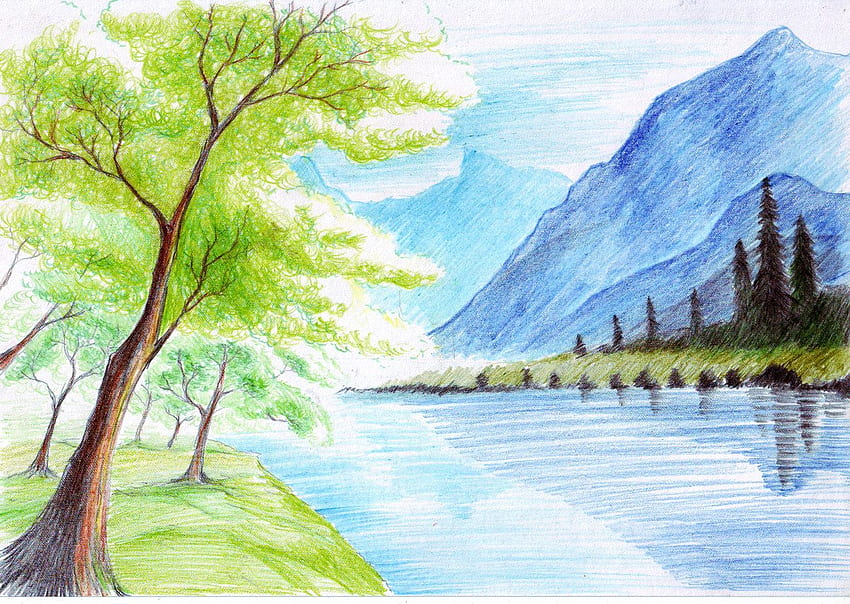 Beautiful Coloured Sketch Drawing Nature Foto Stok 1203112876 | Shutterstock-saigonsouth.com.vn