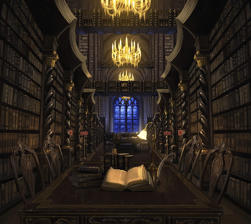 Biblioteka Hogwartu (strona 1), Biblioteka Harry'ego Pottera Tapeta HD