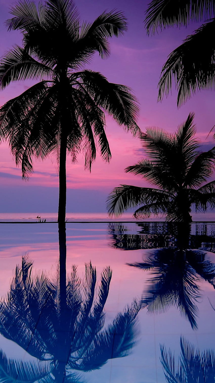 Paysage, Tropical, Ciel violet, Palmiers, Mer, Eau, Climat tropical • Pour vous, Palmiers dorés Fond d'écran de téléphone HD