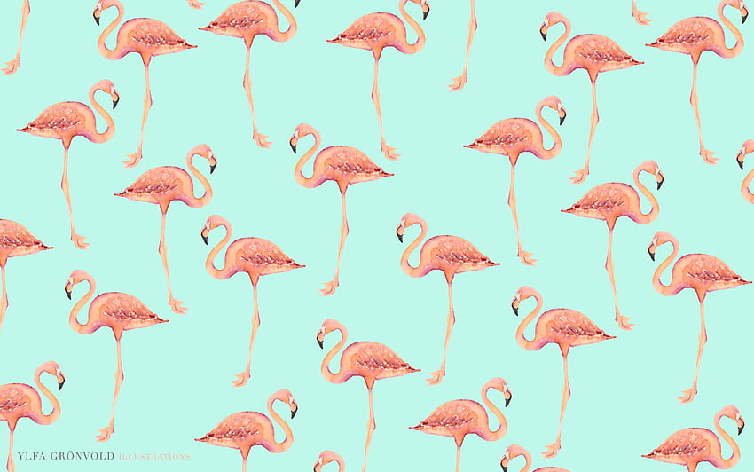Flamingo Background [] for your , Mobile & Tablet. Explore Flamingo . Flamingo , Flamingo Print , Pink Flamingo Computer , Cute Flamingo HD wallpaper