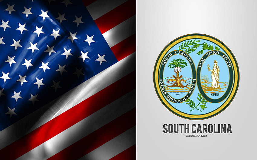Seal of South Carolina, USA Flag, South Carolina emblem, South Carolina coat of arms, South Carolina badge, American flag, South Carolina, USA HD wallpaper