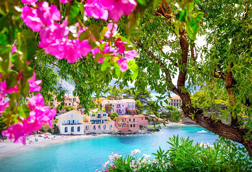 Greek summer, flowers, resort, Greece, branches, view, tree HD wallpaper