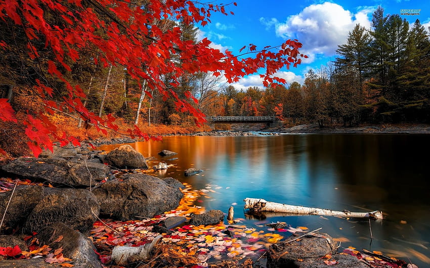 musim gugur, musim panas Vermont Wallpaper HD