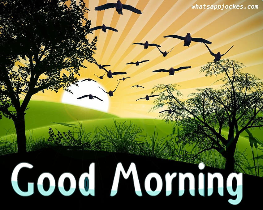 좋은 아침 기원에 생강 꽃. 힌디어로 좋은 아침, 좋은 아침, 좋은 아침 내 사랑, 좋은 아침 햇살 HD 월페이퍼