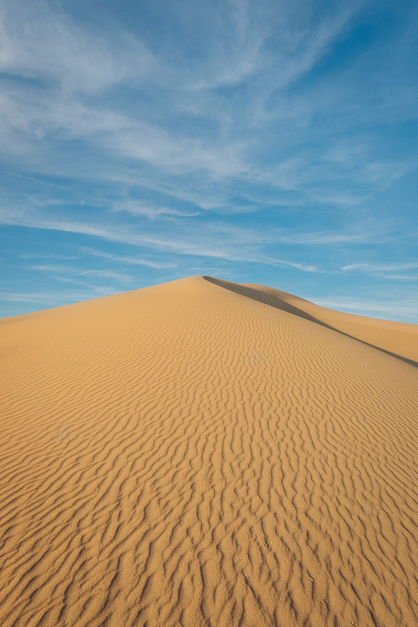 Landscape, Nature, Sand, Desert, Hill, Dunes, Links HD phone wallpaper