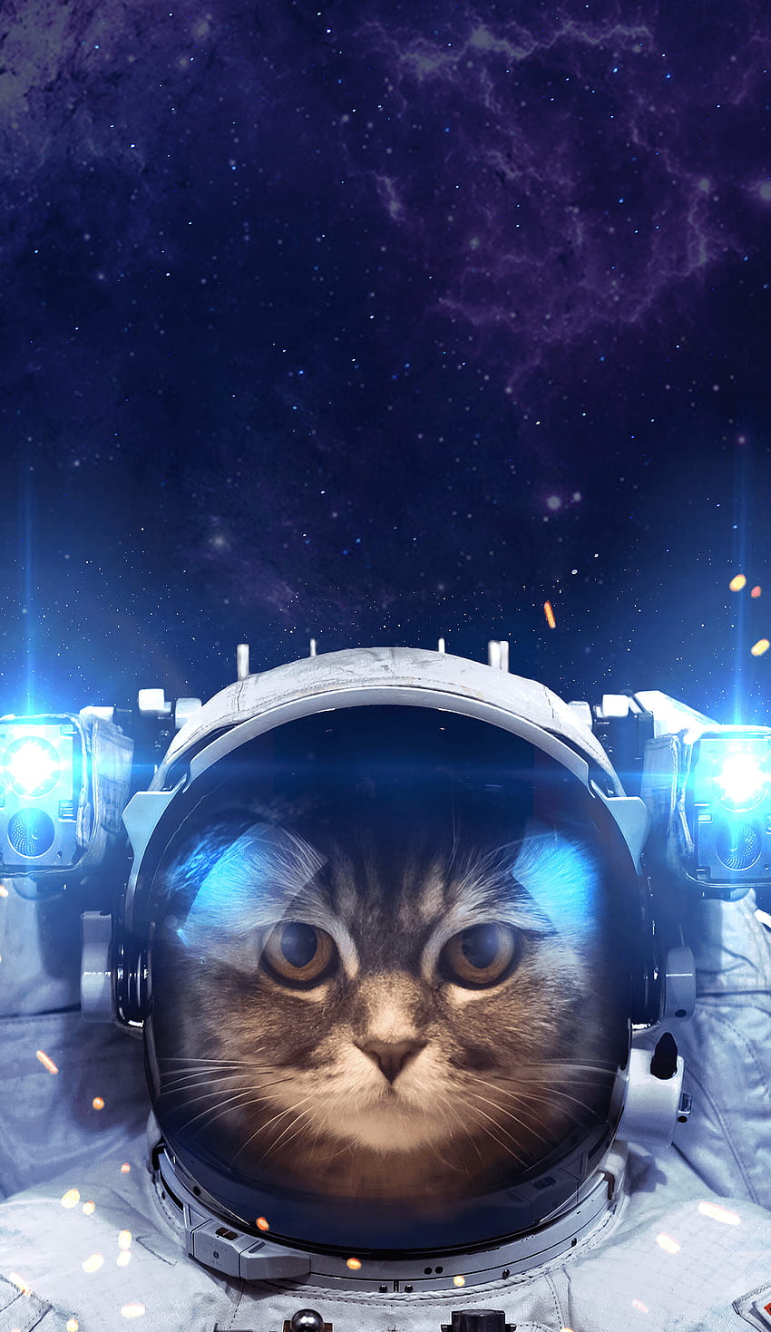 Kiana Thomas tentang Kucing. Kucing luar angkasa, Kucing, latar belakang Kucing, Kucing Astronot wallpaper ponsel HD