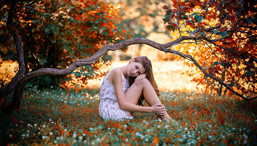 秋のかわいい、木、女の子、自然、かわいい 高画質の壁紙