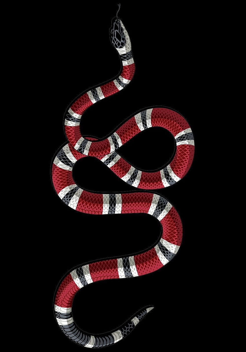 붉은 뱀, 검은색과 붉은색 뱀 HD 전화 배경 화면