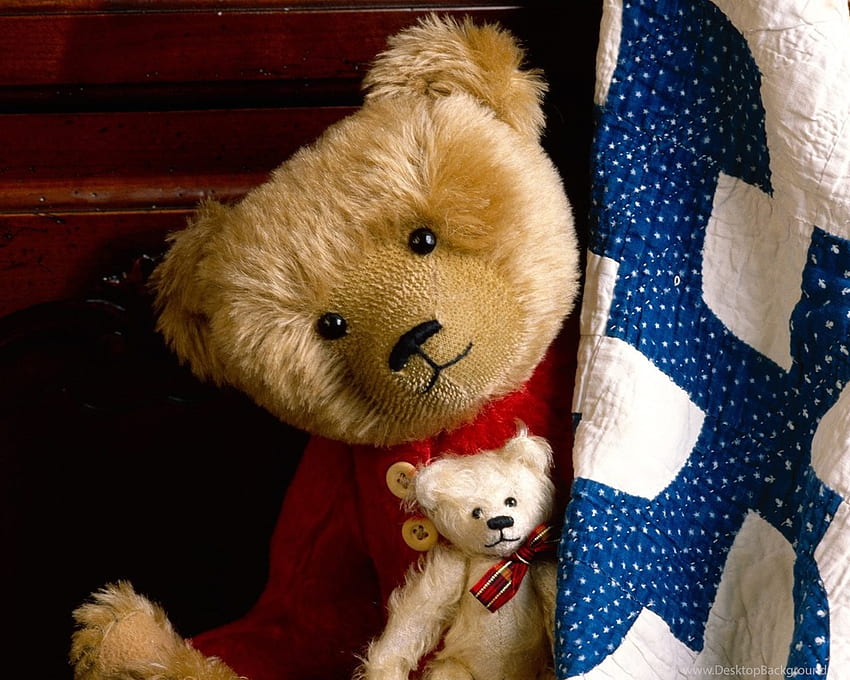 Teddy Bear Background, Teddy Bear Face HD wallpaper