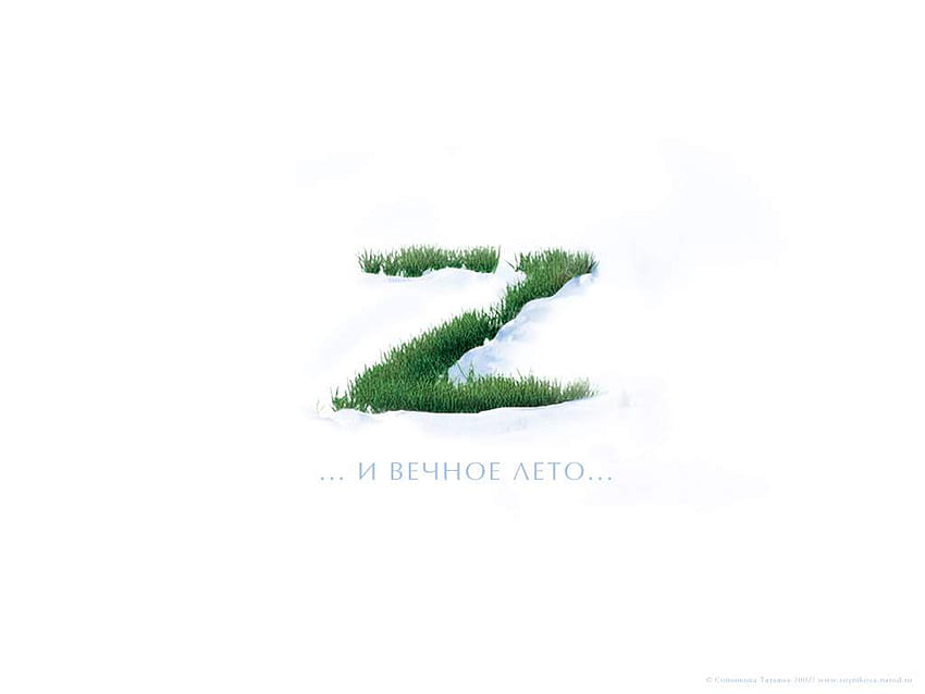 Z 3d Rumput, alfabet berumput, fantasi dalam seni 3d Wallpaper HD