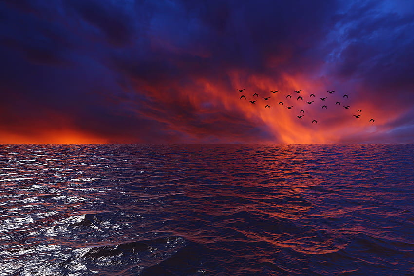 Nature, Birds, Sunset, Sky, Sea, Clouds, Waves, Horizon, Flock HD wallpaper