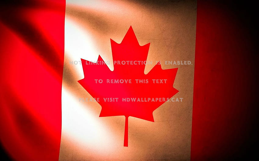 happy canada day maple leaf red white flag, Canada Maple Leaf HD wallpaper