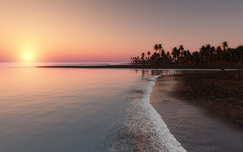 Nature, Sunset, Sky, Palms, Coast, Ocean, Tropics HD wallpaper
