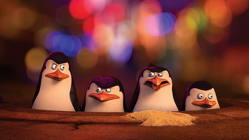 Penguins of Madagascar, Madagascar Cartoon HD wallpaper