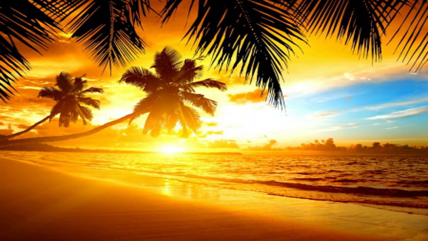 tropical beach sunrise wallpaper