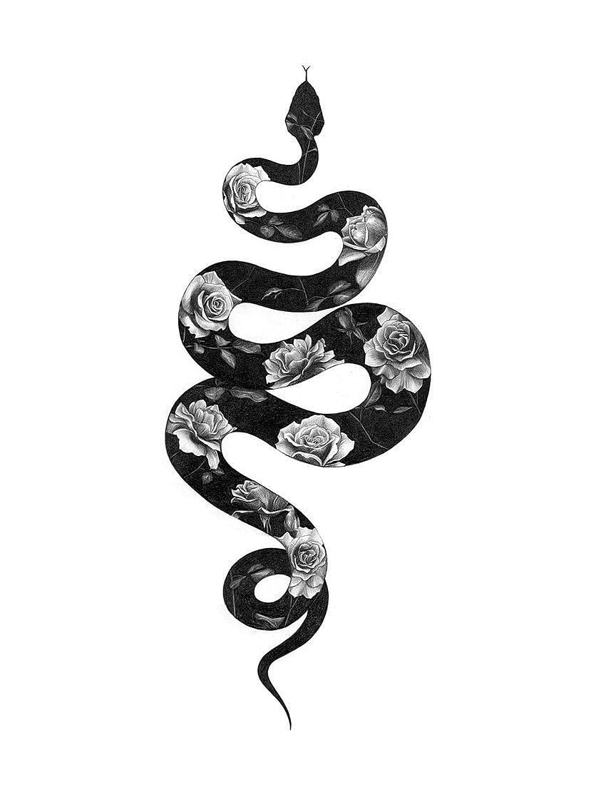 Snake Drawing, Rose Snake HD phone wallpaper