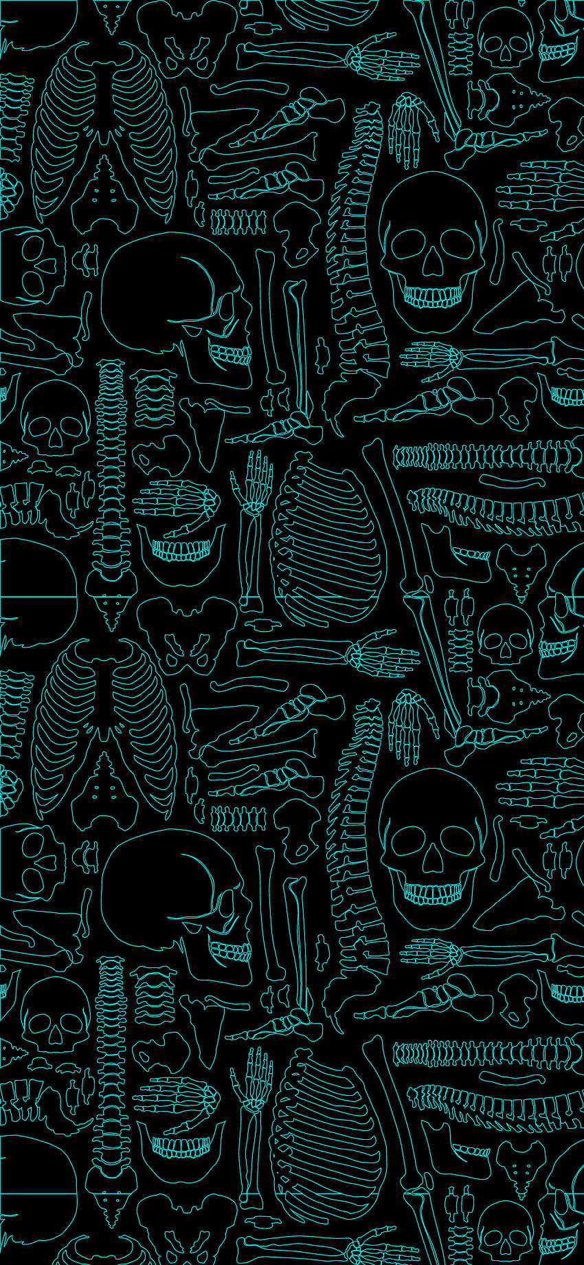 Amoled skeleton, Medical Minimalist HD phone wallpaper