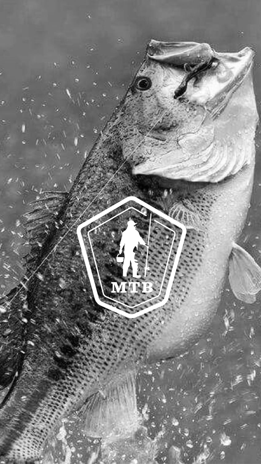 Fishing Phone You Should Use Right Now!, Bass Fishing HD phone wallpaper |  Pxfuel