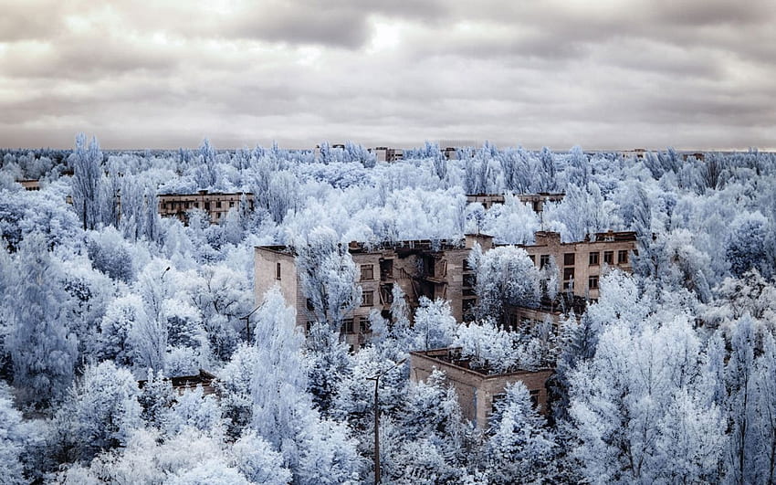 Gray painted buildings on forest, infrared, graphy, Ukrainian Landscape HD wallpaper