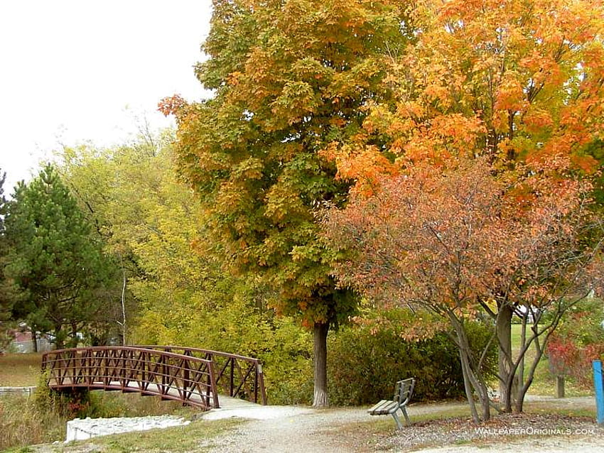 autumn, trees, garden, bridge, nature HD wallpaper