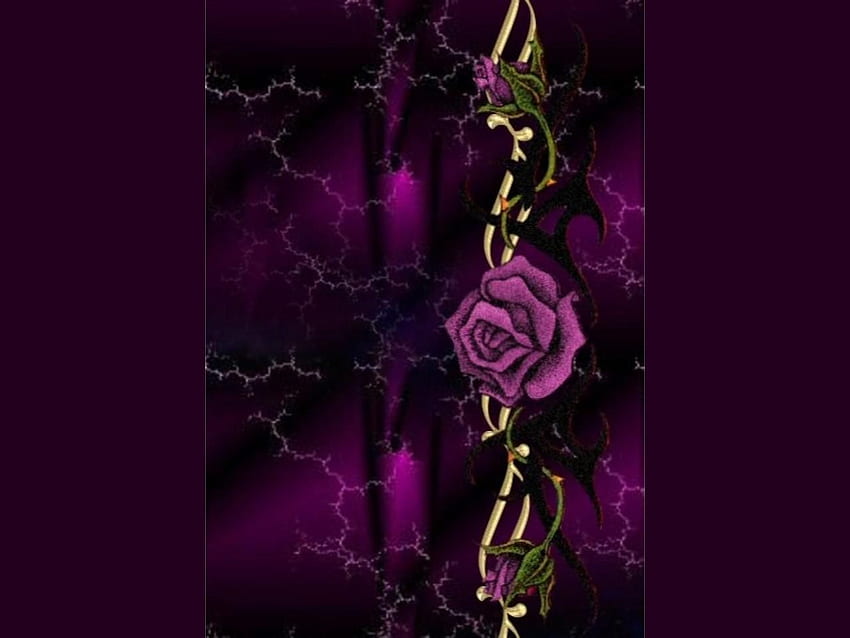 Purple Rose Strona główna 9 fajnych, gotyckich róż Tapeta HD