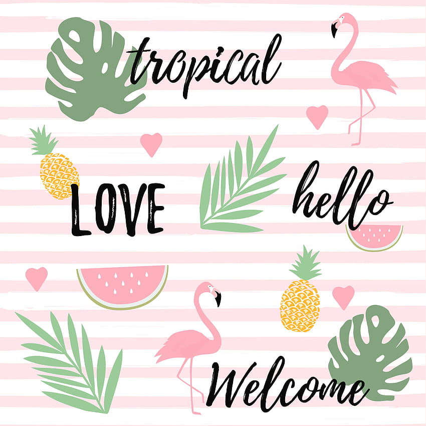 Tropical background with flamingos watermelon and pineapples - Vectors, Clipart Graphics & Vector Art HD wallpaper
