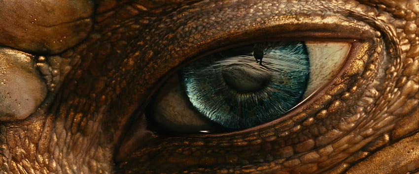 result for movie narnia. Narnia, Dragon eye, Chronicles of narnia, Green Dragon Eye HD wallpaper