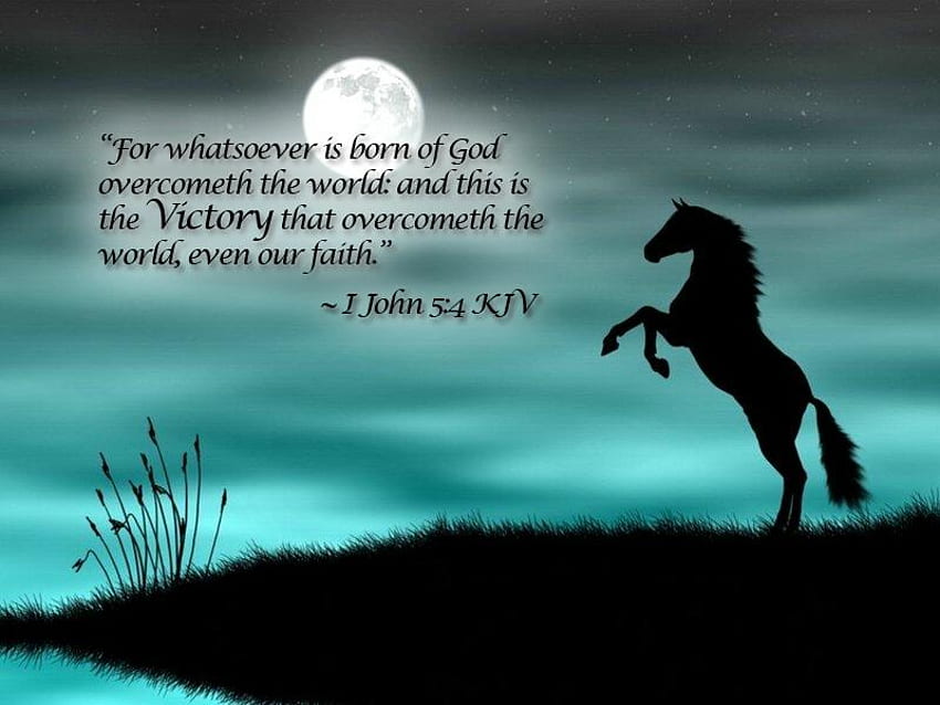 God, scripture, horse, water HD wallpaper